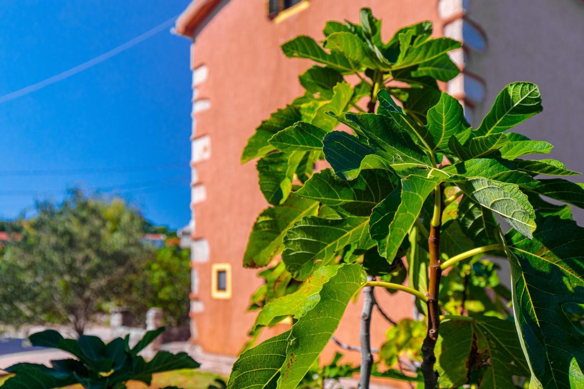 Apartments Lina Vrh  Εξωτερικό φωτογραφία